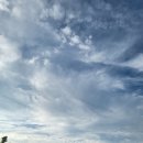 모란셀프세차장 이미지