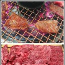 하누하누