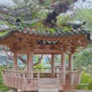 대안길 | 충주 탄금대 공원 카페 비 오는 날 후기