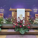 2025년 11월 5주 성전 꽃꽂이 - 강릉 중앙감리교회 이미지