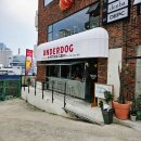 골목맥주 - 부산진구 엄광로 56-1 | 전포동핫도그 맛집 언더독핫도그클럽 골목 감성 전포생맥주 핫플 후기