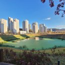 더팜홈쿡 - 화천군 중앙로 13-1 | 원주 기업도시 밀키트 더팜홈쿡 후기 , 롯데캐슬 골드파크 이사한달전