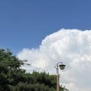 인천종합동물병원 맞은편 횡단보도(동인천역북광장) | [인천] 골목길의 옛 모습을 간직하고 있는 인천둘레길 11코스 연탄길 (스탬프함 위치 및 우회로 정보)