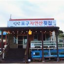 서귀포맛집에서의 싱싱함이 미친 회 먹방, 신산포구자연산횟집 후기를 알려드립니다