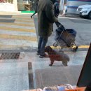 도원떡방 이미지