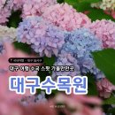 수목원관리사무소 | 대구 여행 수국 스팟 가볼만한곳 [대구수목원]