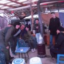 터키벨리 이미지