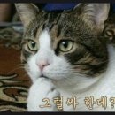 폴바셋 코리아나호텔점