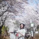 더미스튜디오 네이버블로그