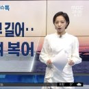미소복어 이미지