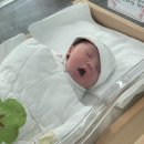 전주 한나산부인과 제왕절개 후기 1 / 슬기로운 입원생활 (일반실)