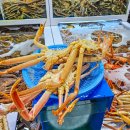 대영건어물 | 주문진 수산시장 대게 강릉 주문진항 포장 가격