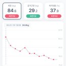 반트짐 이미지
