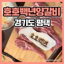 호호백년숯불양갈비 | 평택 세교동 양고기 맛집 호호백년 숯불양갈비전문점 내돈내산 리얼후기!(영업시간, 메뉴추천)