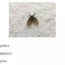 민족통일고시텔 - 2591 | 민족통일고시텔