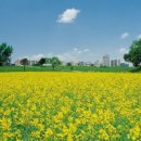 늘 좋은생각 이미지