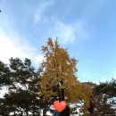 빚짜X이땔리방앗간경복궁