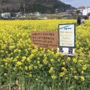 대정읍 하모리 2148 이미지