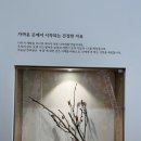 다산지금한의원 이미지