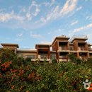 제주에코스위츠 이미지