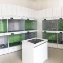 개린이집 이미지