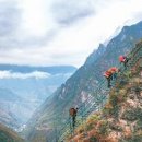 폴리민박 이미지