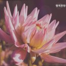 경기처인방문요양센터 이미지