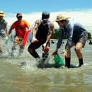 문항어촌체험마을 이미지