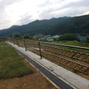 황금부자부동산공인중개사사무소 이미지