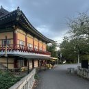 제주불교성지 순례길 절로가는길 - 선정의 길 | [제주] 서귀포 가볼만한곳 바다가 보이는 아름다운 절 “약천사”