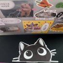 오게… 고… 다시 돌아온 기말 밀린 업보의 현장