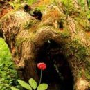 선학체육관 이미지