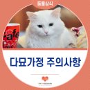 인동동물병원 이미지