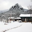 한겨울이 반가운 오지의 겨울 왕국,봉화 분천역과 청송 얼음골 이미지