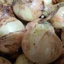 신토불이건강원 이미지