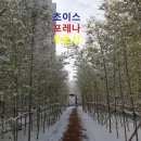 성복자동차공업사 이미지