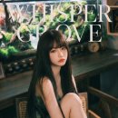 수지로 이면도로 이미지