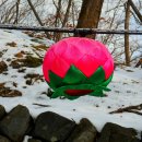 부여(외산)-12 이미지