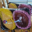 따봉청과 이미지