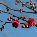 우공원