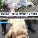 다두농장 이미지