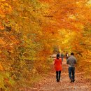 청맥병원 이미지