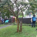 애월읍충혼묘지 이미지