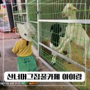 산너머그집꿀 | 대구 수성구 산너머그집꿀 카페 / 아이랑 갈만한 동물체험과 모래놀이