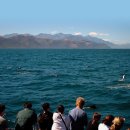 바다이야기 이미지