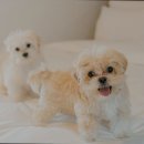 서귀동-39 | [제주도 숙소 호텔 펜션 리조트 추천!] 헤이, 서귀포 서귀포의 감성을 담은 호텔