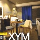 XYM 이미지