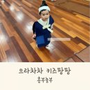 키즈팡팡플러스 네이버블로그