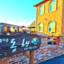여수힐링펜션 | 여수애견동반독채펜션 아름다운동행펜션 여수독채펜션 힐링 여행 후기