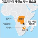 대국인터네셔널 이미지